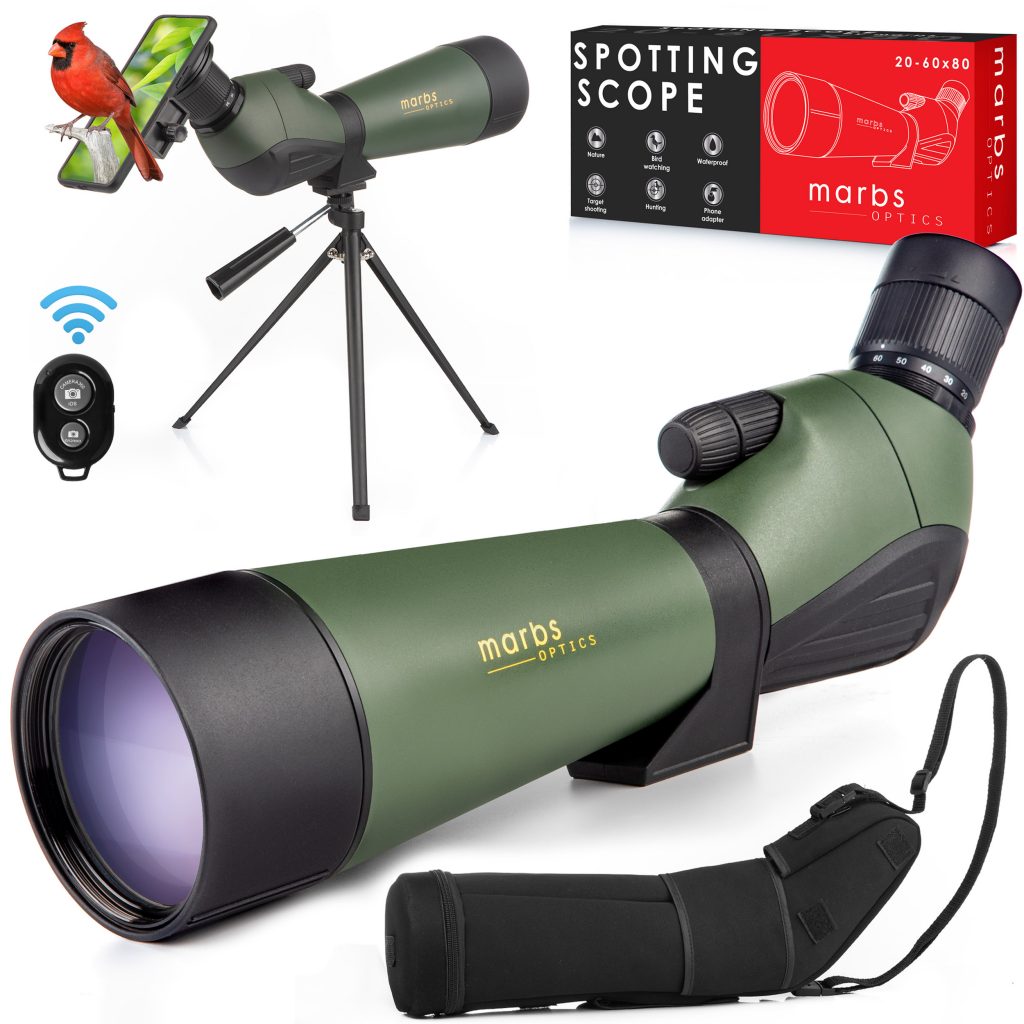 Portofoliu Satori Studio