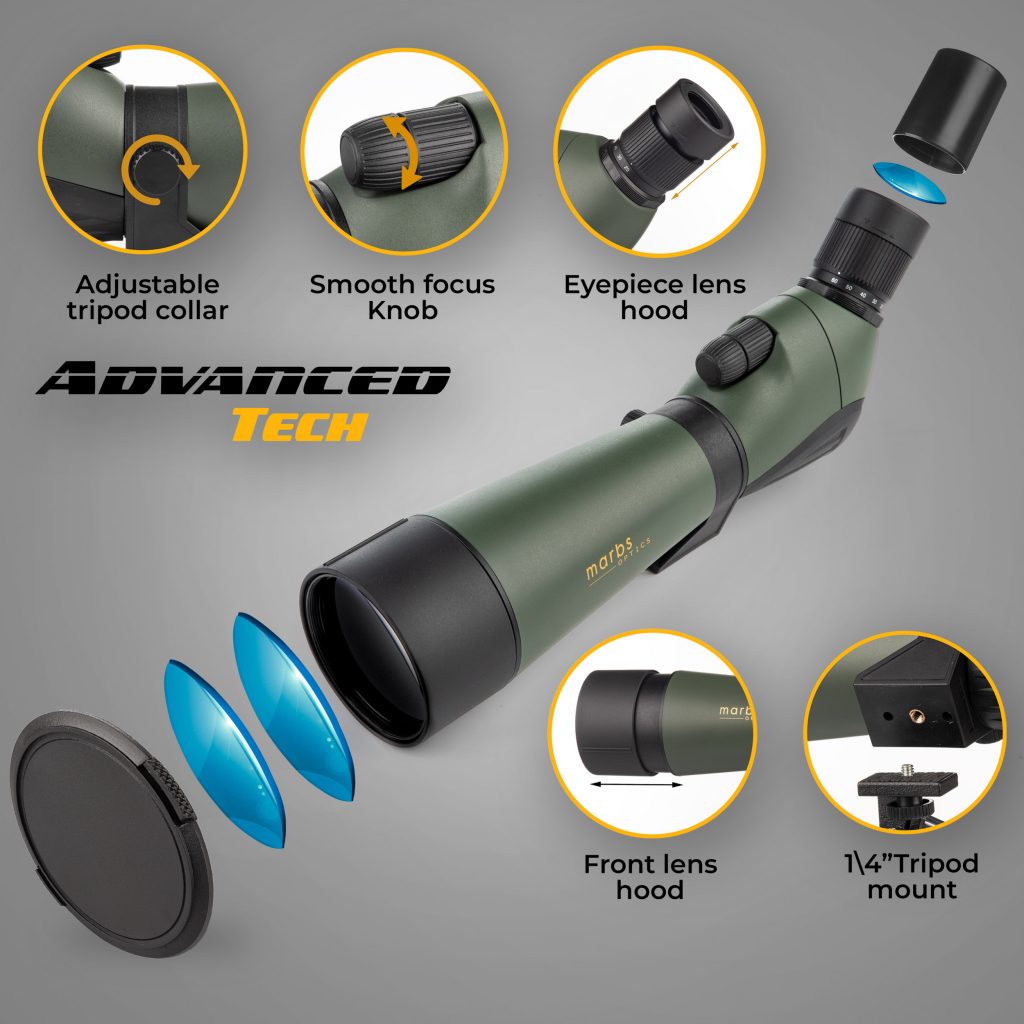 Portofoliu Satori Studio